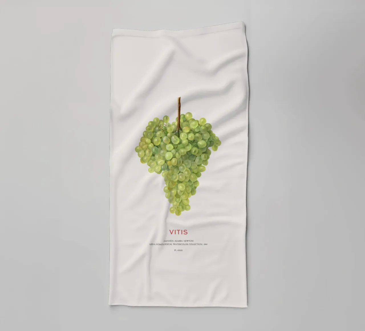 Uva o Vitis asciugamano da bagno da Vintagrafica