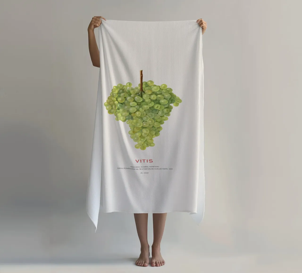 Weintraube oder Vitis Strandtuch von Vintagrafica