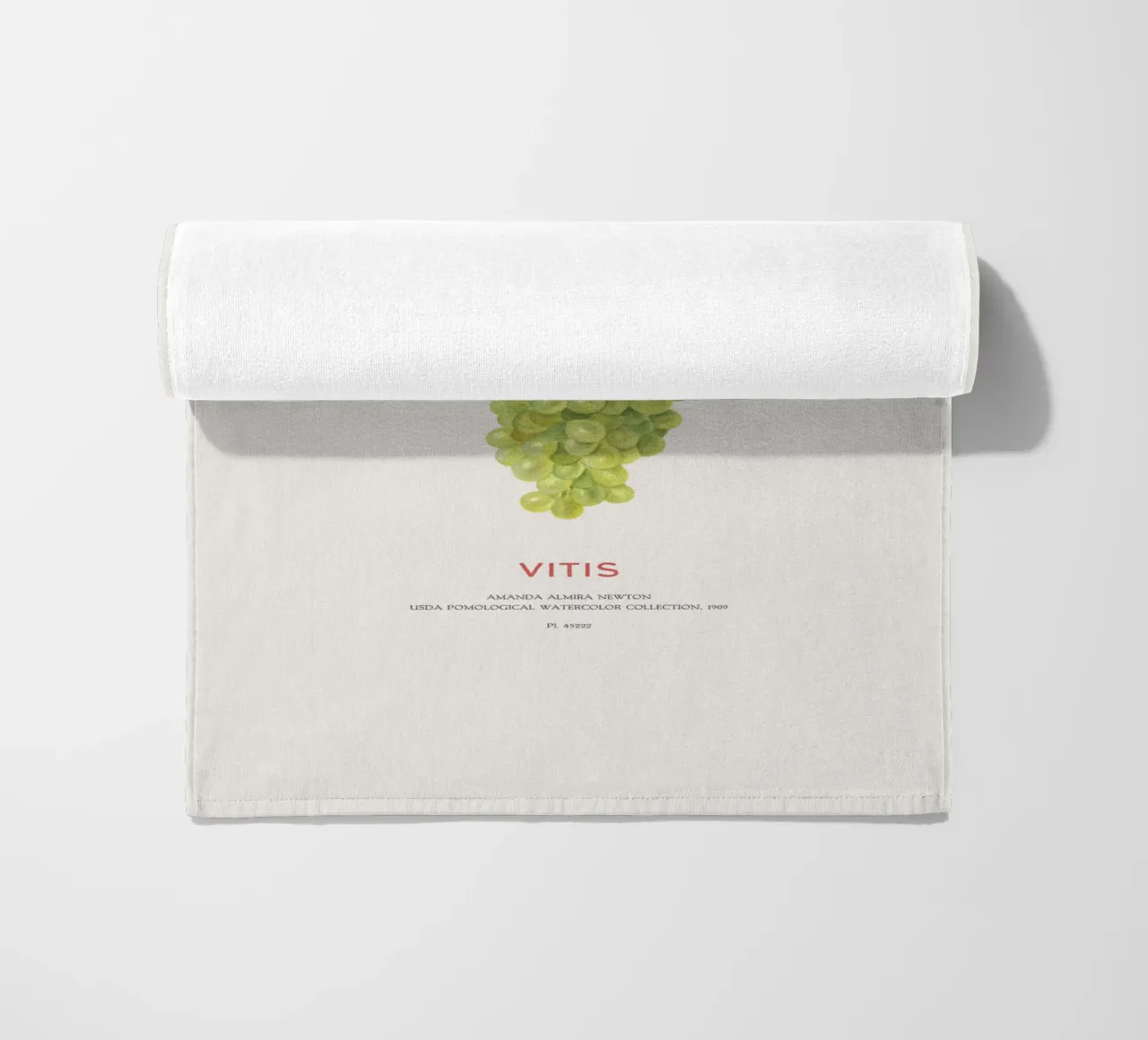 Uva o Vitis telo mare da Vintagrafica