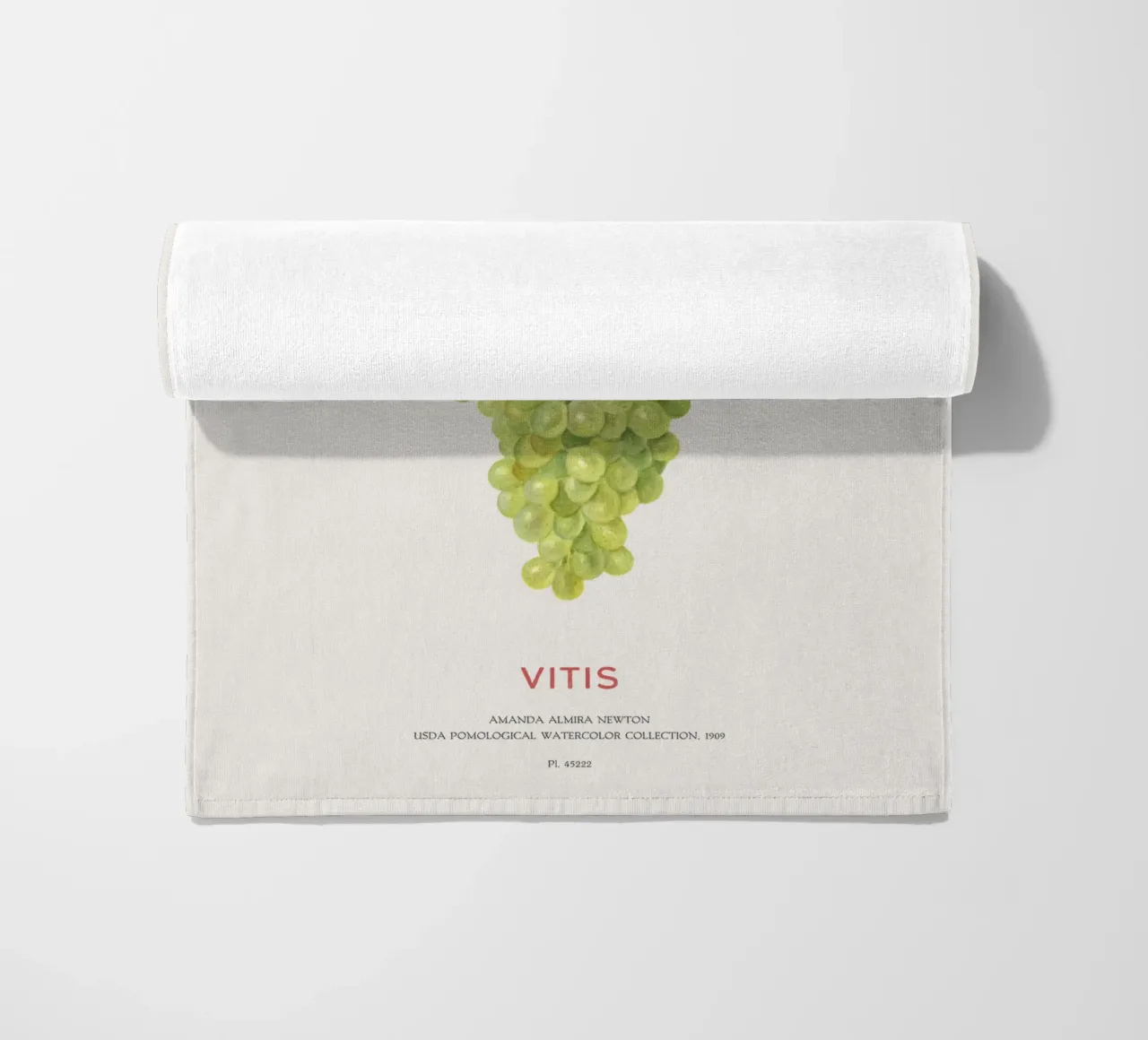 Weintraube oder Vitis Strandtuch von Vintagrafica