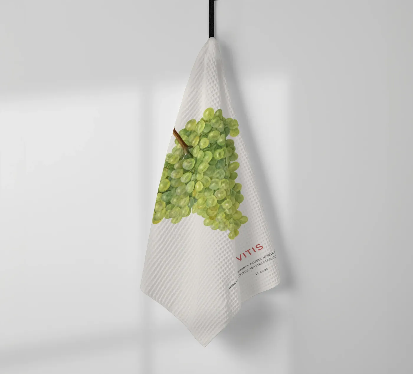 Grape or Vitis Geschirrtuch von Vintagrafica