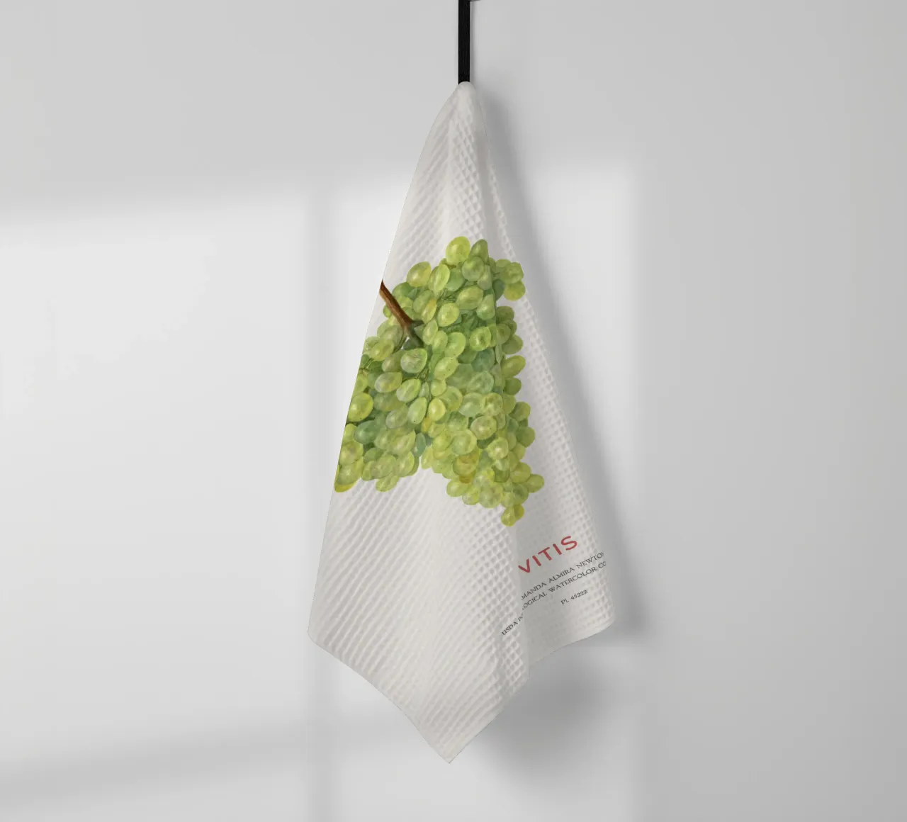 Uva o Vitis canovaccio da cucina da Vintagrafica