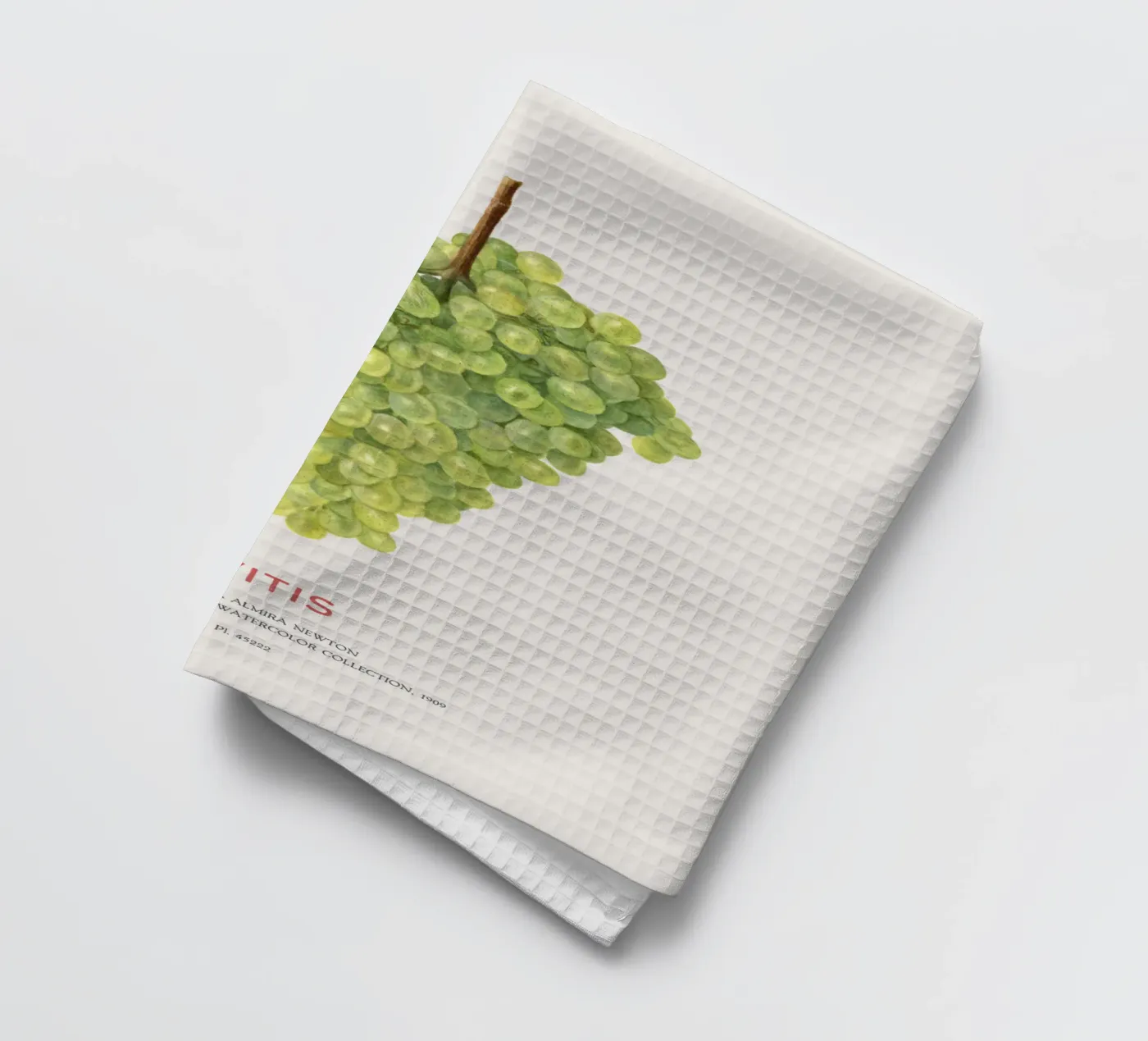 Grape or Vitis Geschirrtuch von Vintagrafica