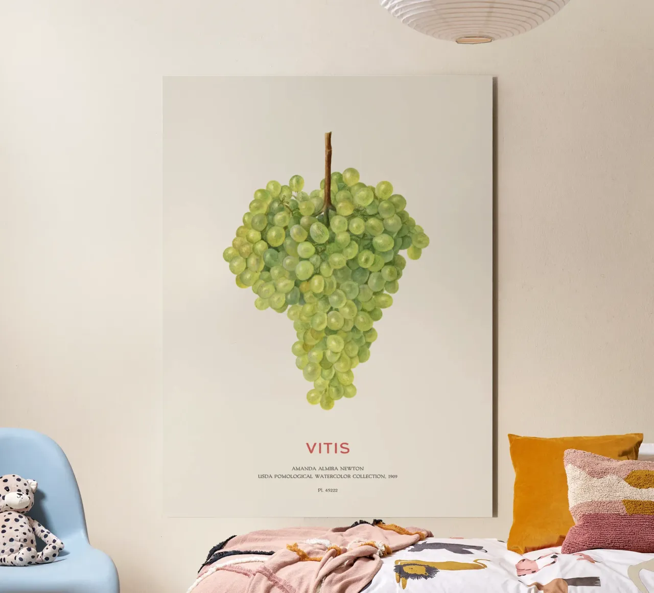 Uva o Vitis alluminio dibond da Vintagrafica