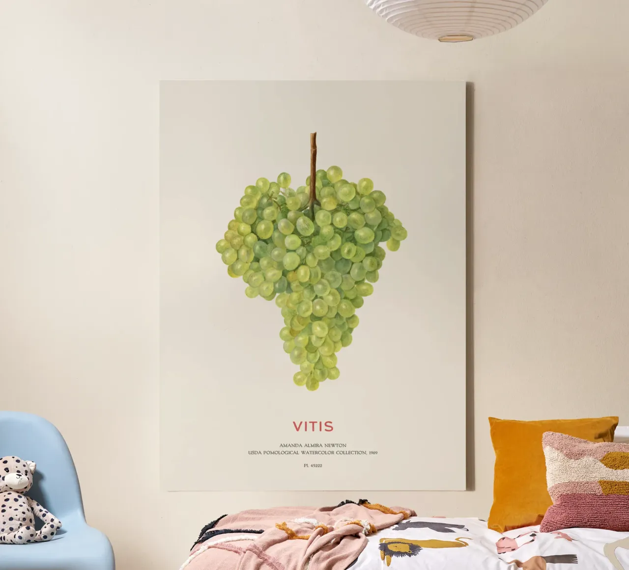 Uva o Vitis lienzo de Vintagrafica