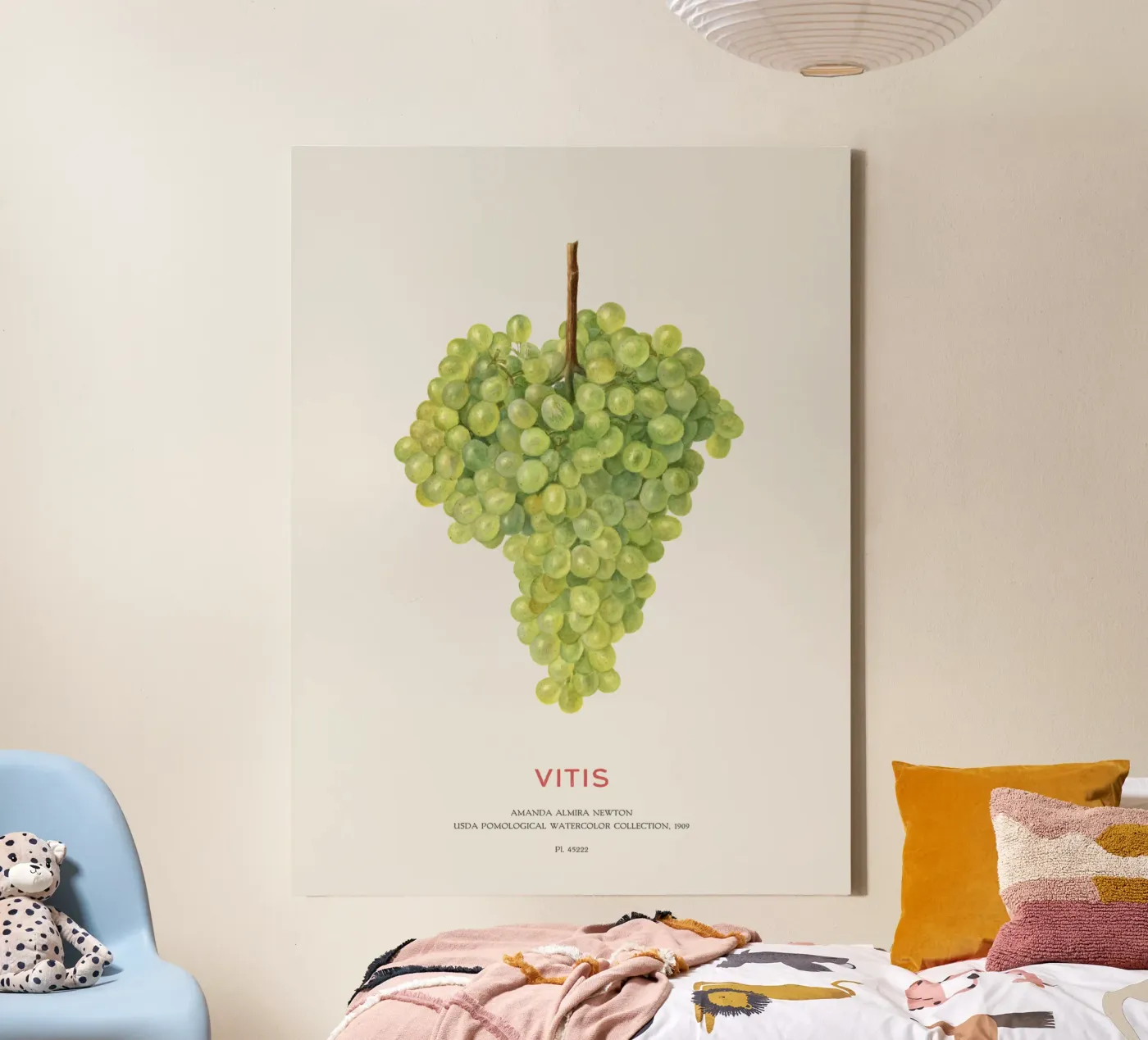 Grape or Vitis tela da Vintagrafica