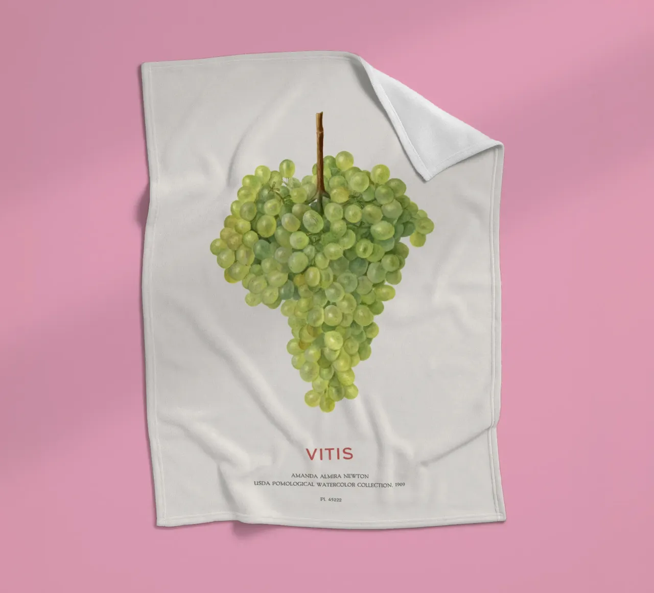 Uva o Vitis coperta in pile da Vintagrafica