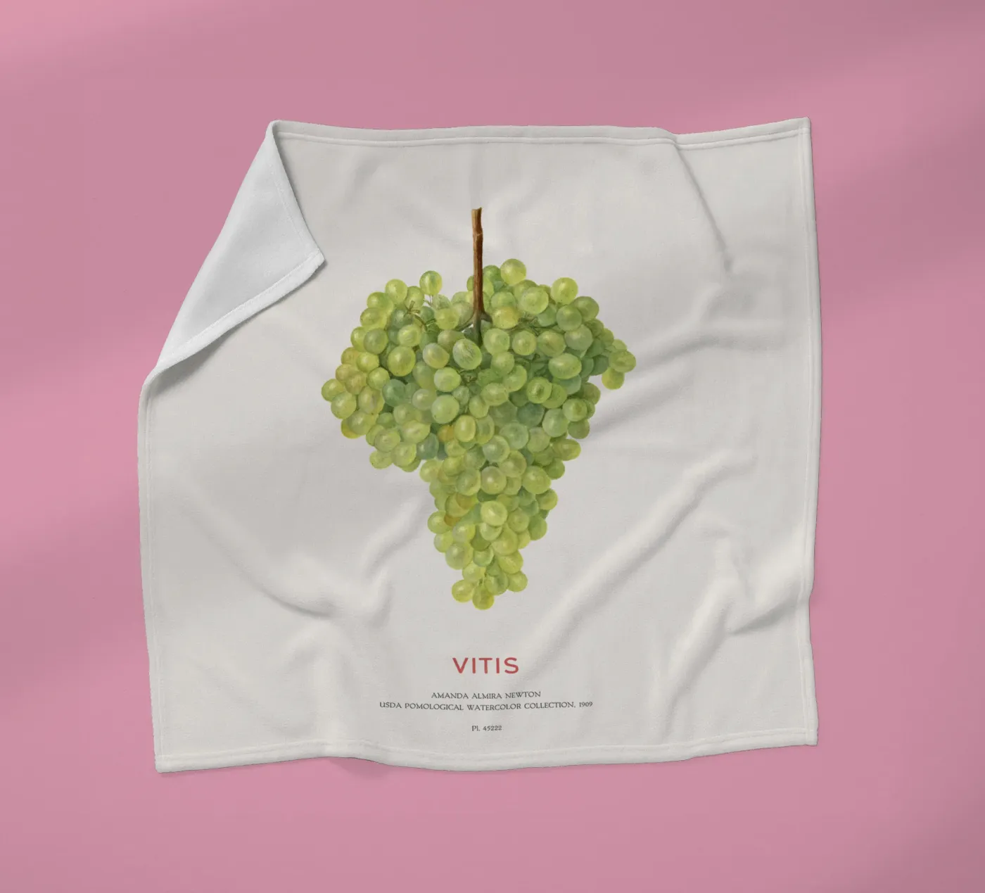 Weintraube oder Vitis Fleecedecke von Vintagrafica