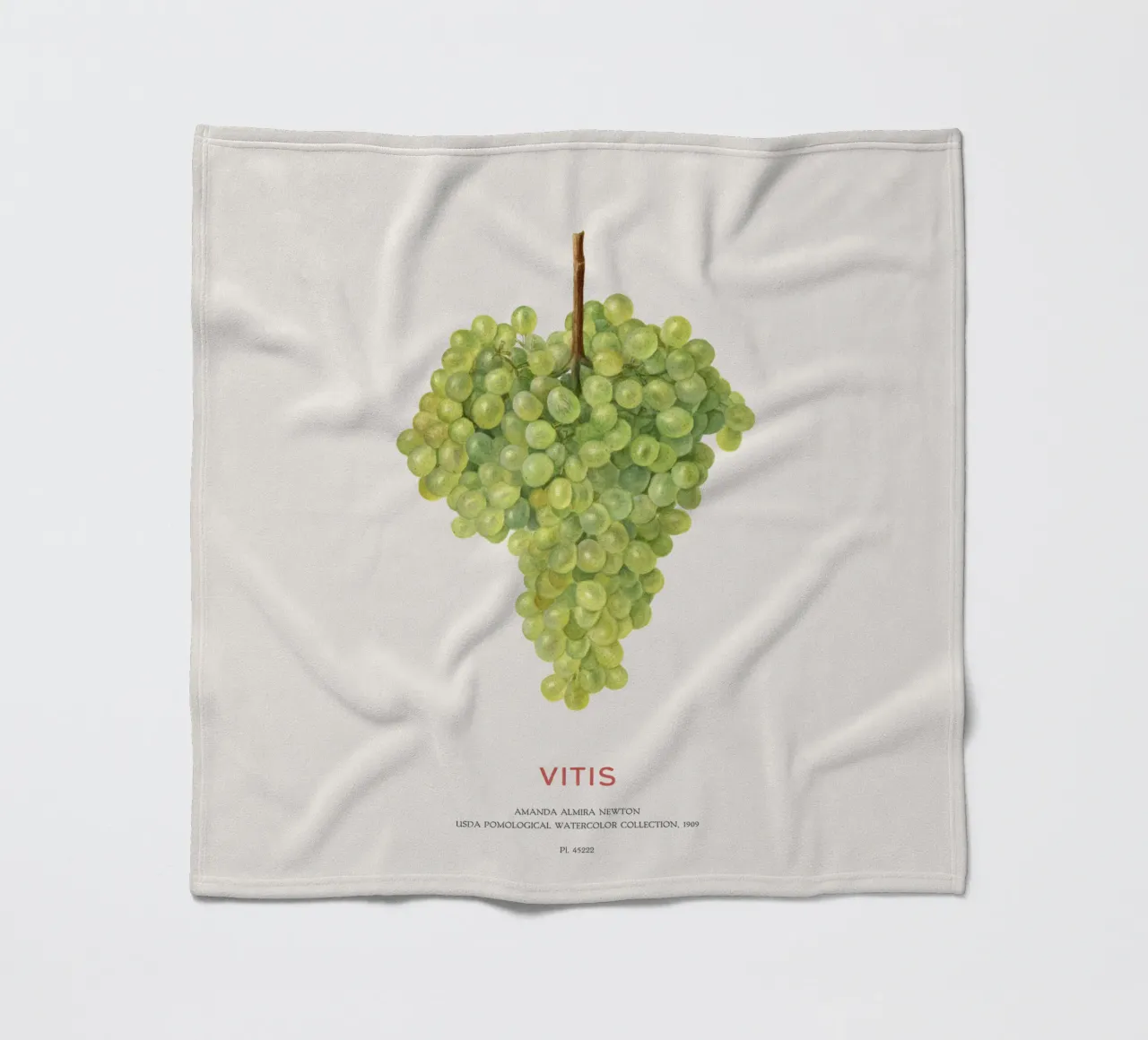 Druif of Vitis fleecedeken van Vintagrafica