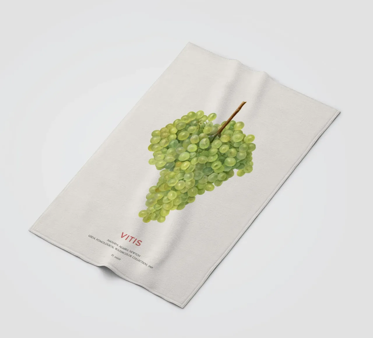 Uva o Vitis coperta in pile da Vintagrafica