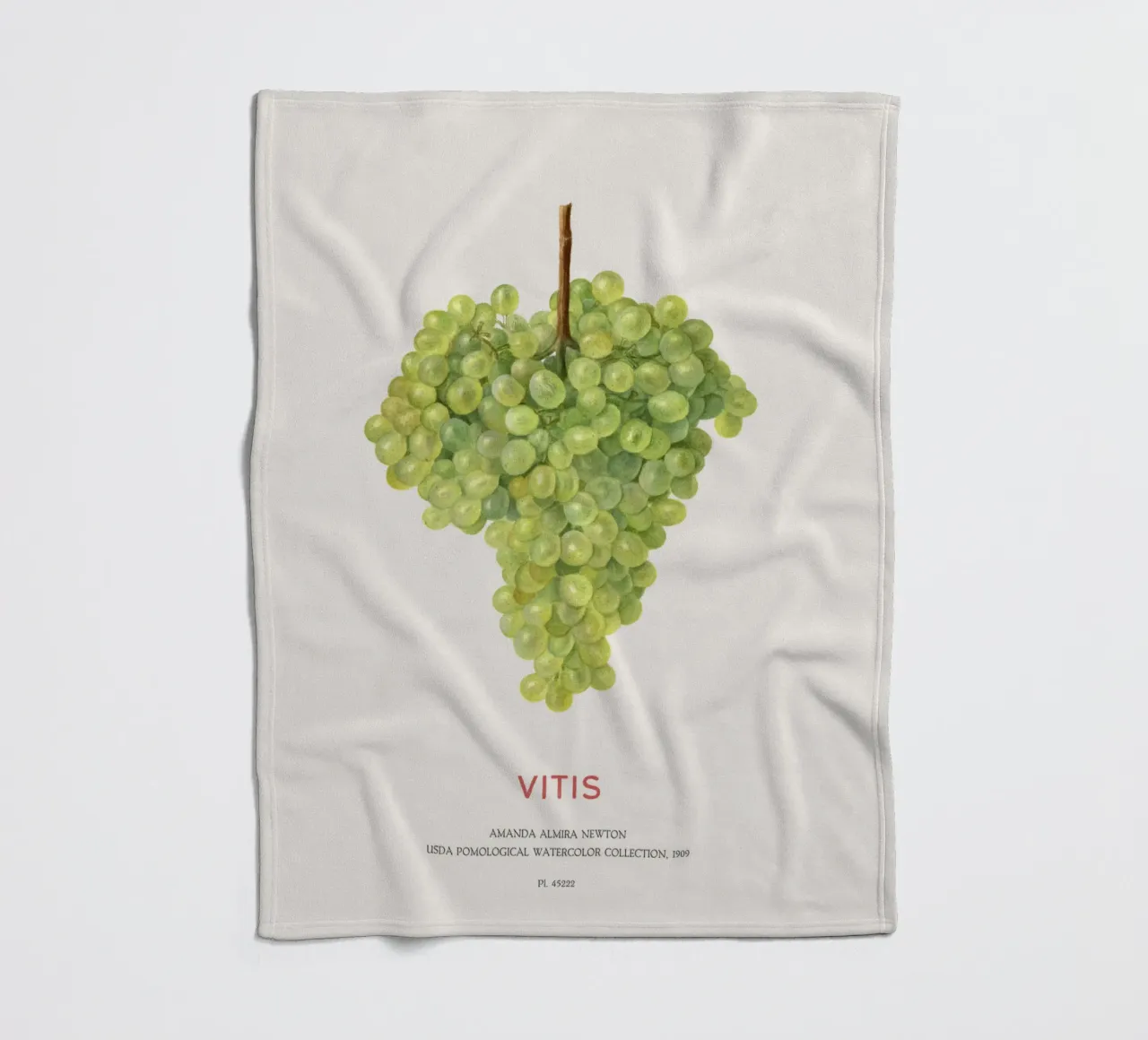 Druif of Vitis fleecedeken van Vintagrafica