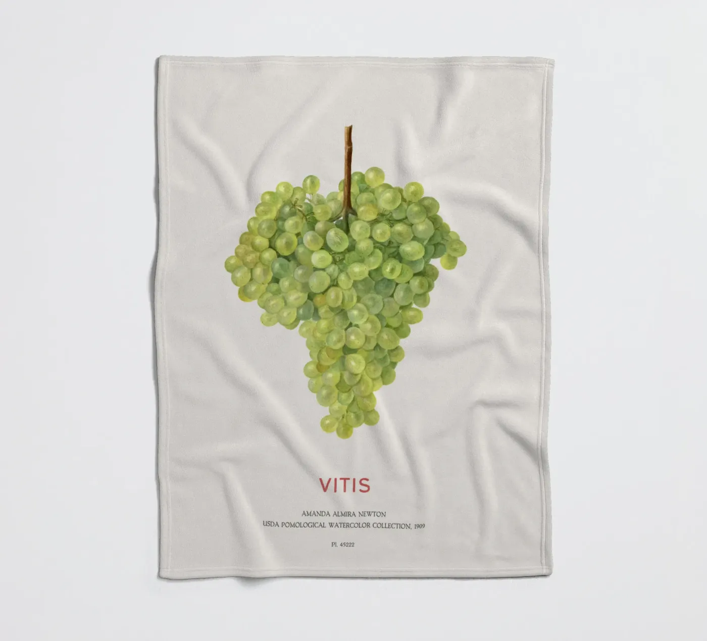 Weintraube oder Vitis Fleecedecke von Vintagrafica