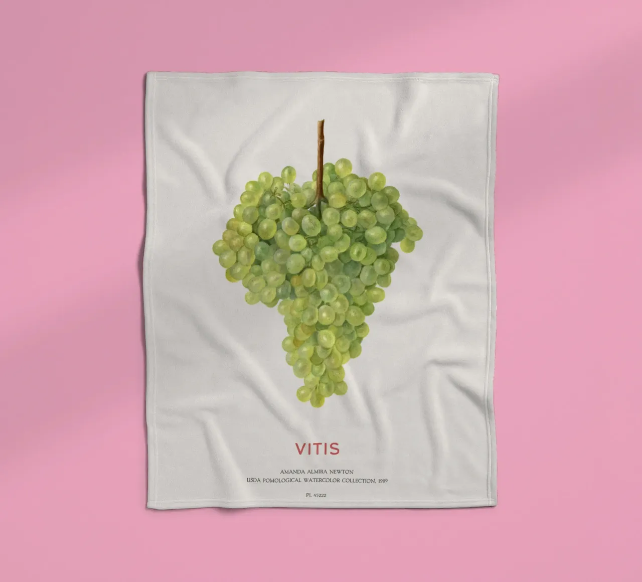 Uva o Vitis coperta in pile da Vintagrafica