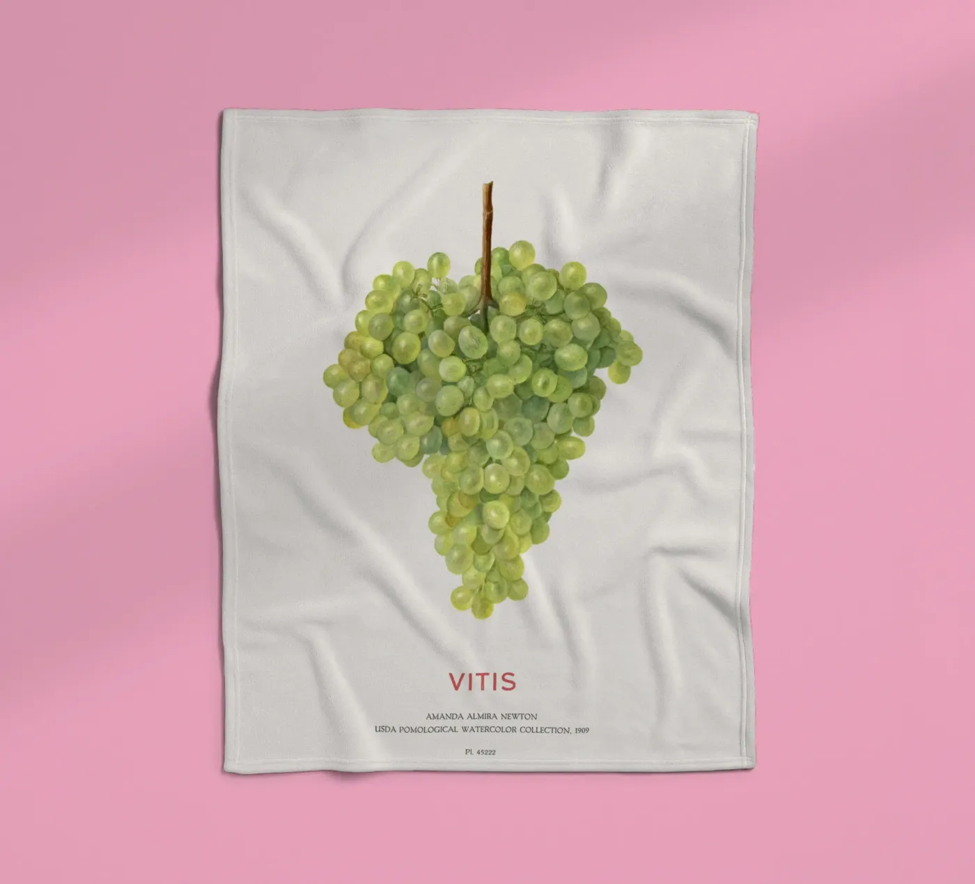 Weintraube oder Vitis Fleecedecke von Vintagrafica