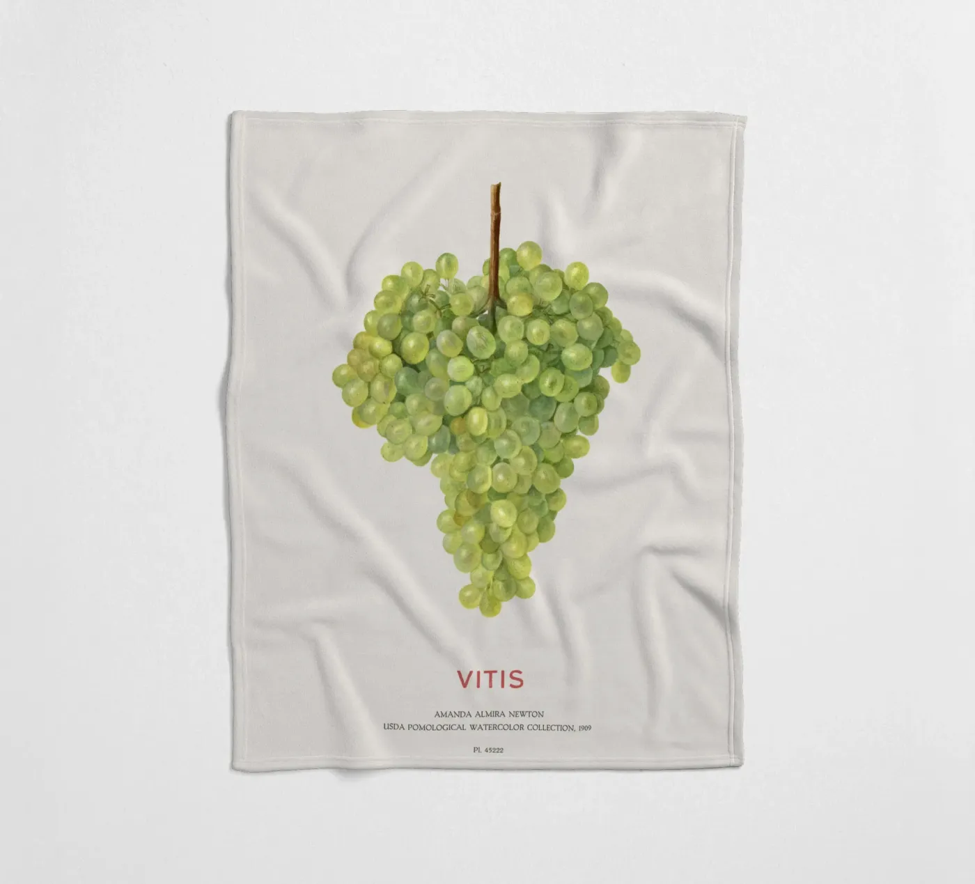 Weintraube oder Vitis Fleecedecke von Vintagrafica