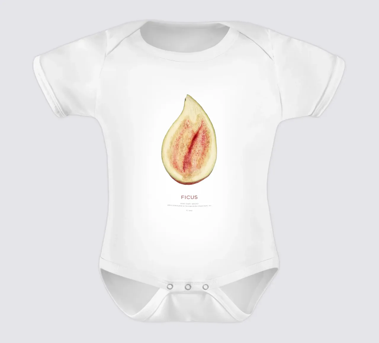 Feige oder Ficus Kurzarm Babybody von Vintagrafica