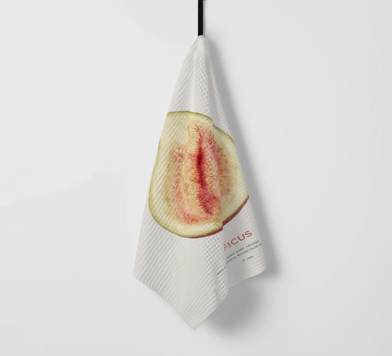 Fico o Ficus canovaccio da cucina da Vintagrafica