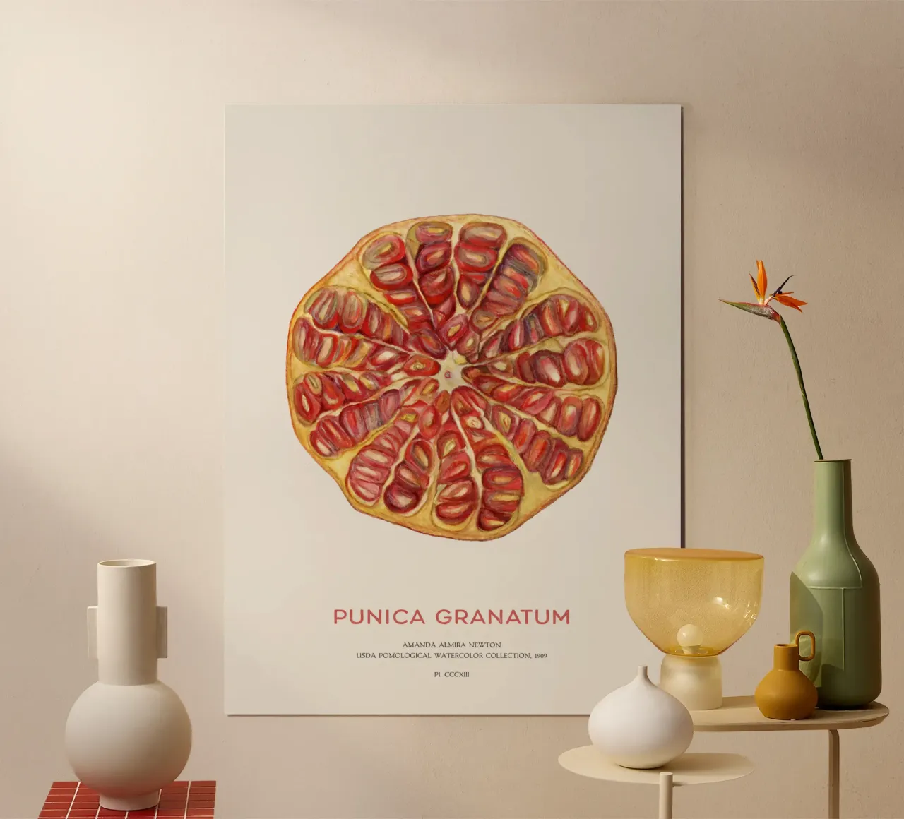 Granatapfelfrucht oder Punica granatum Poster von Vintagrafica