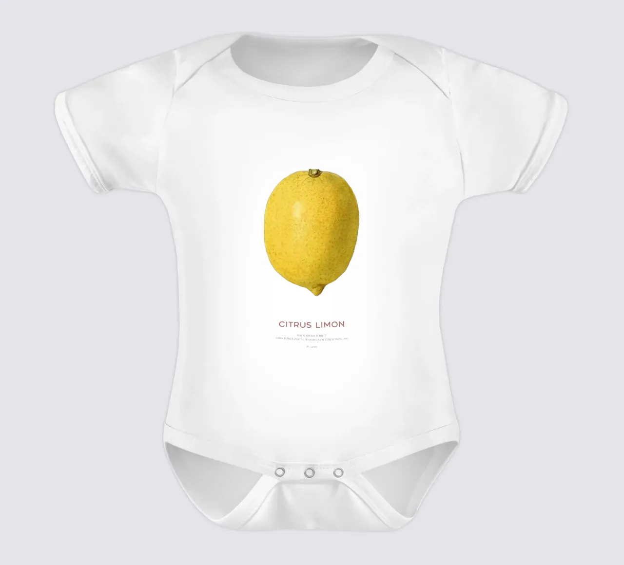 Citrus limon oder Zitronenfrucht Kurzarm Babybody von Vintagrafica