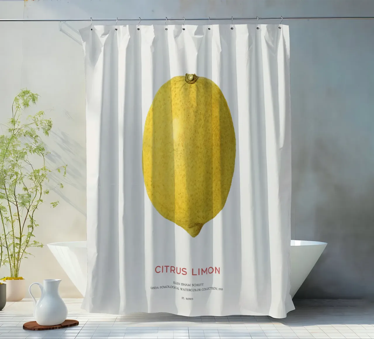 Citrus limon oder Zitronenfrucht Duschvorhang von Vintagrafica