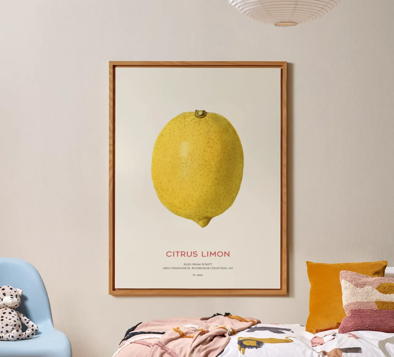 Citrus limon oder Zitronenfrucht Forex-Platte von Vintagrafica