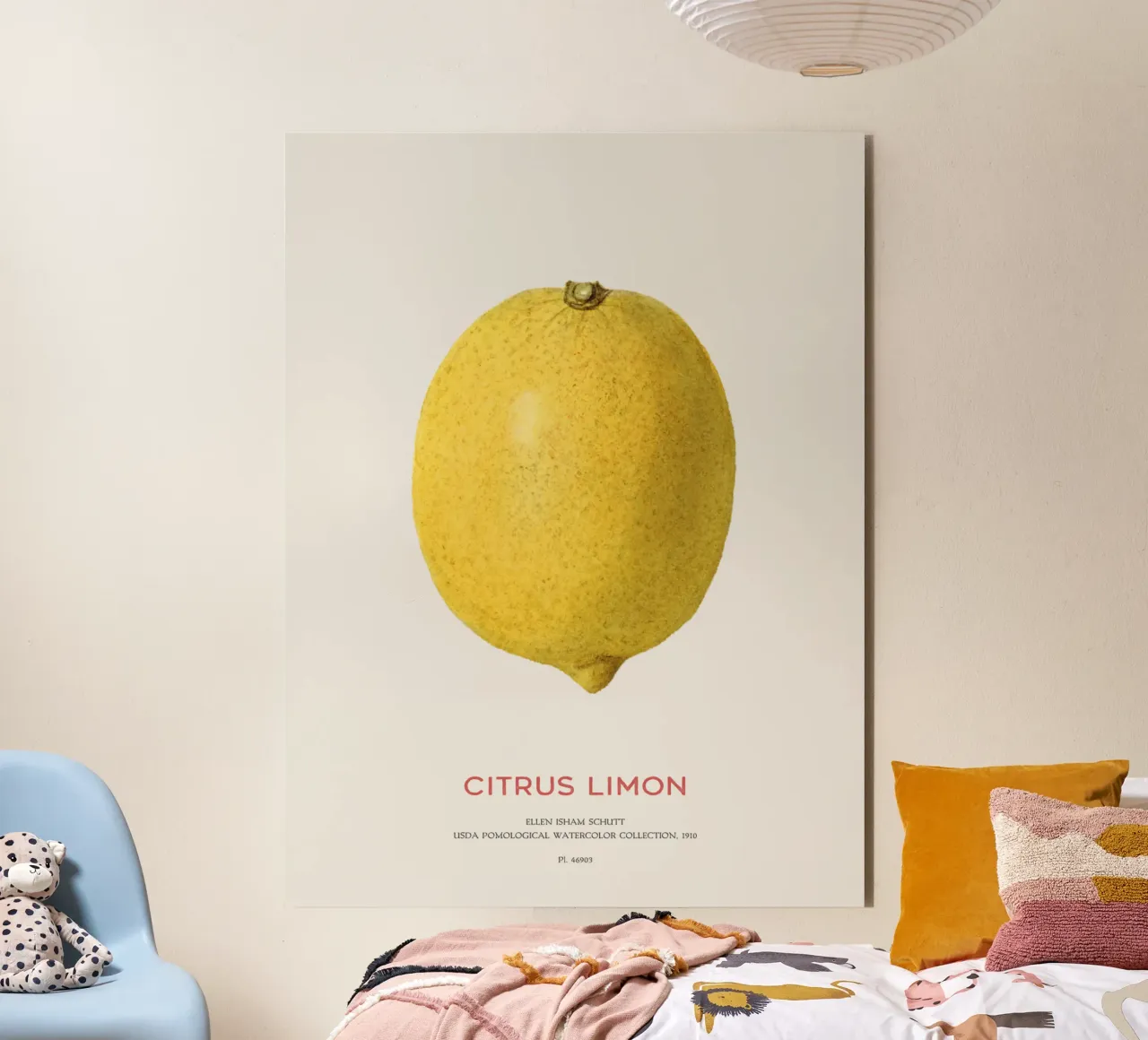 Citrus limon oder Zitronenfrucht Forex-Platte von Vintagrafica