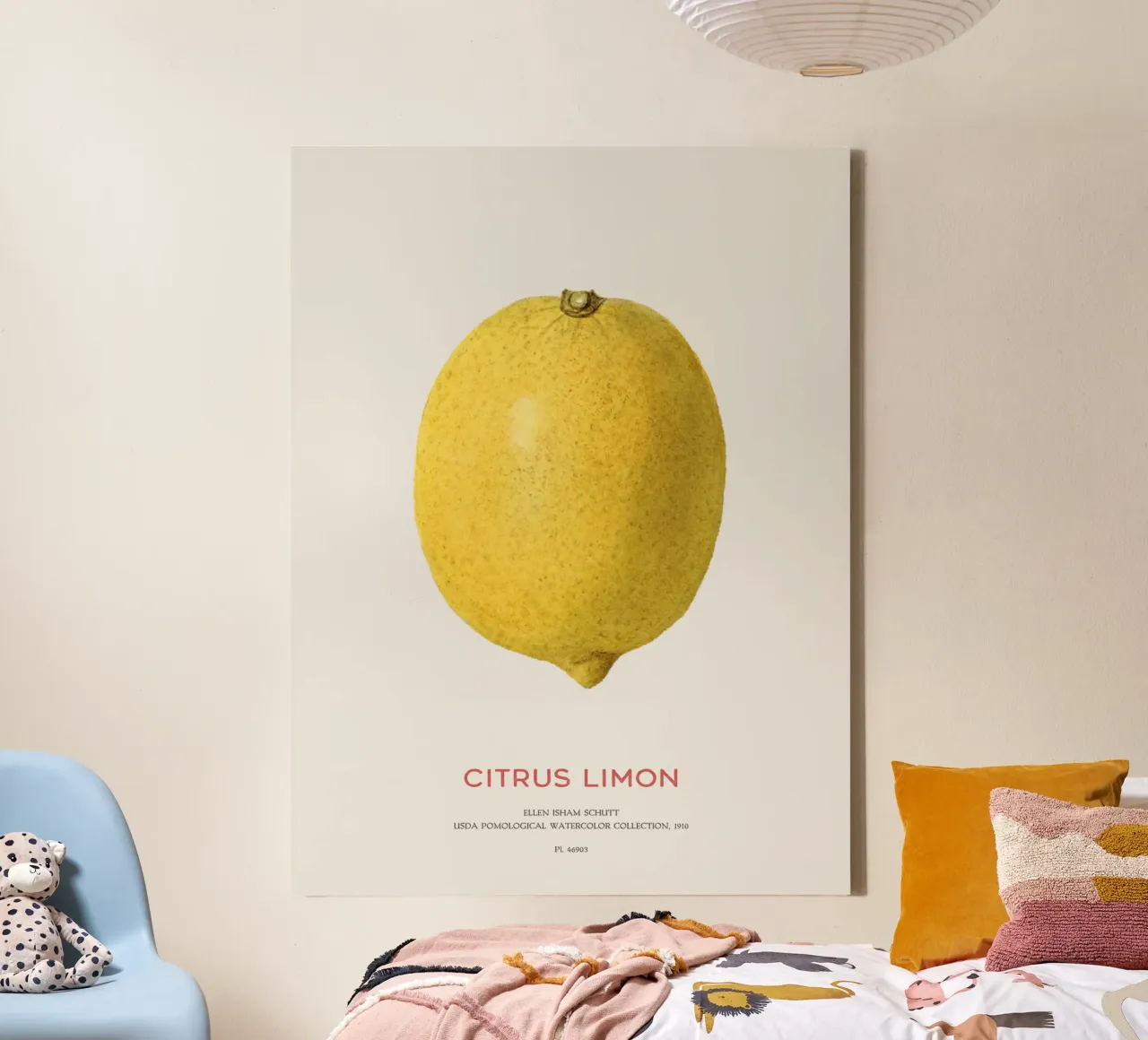Citrus limon or Lemon fruit canvas by Vintagrafica
