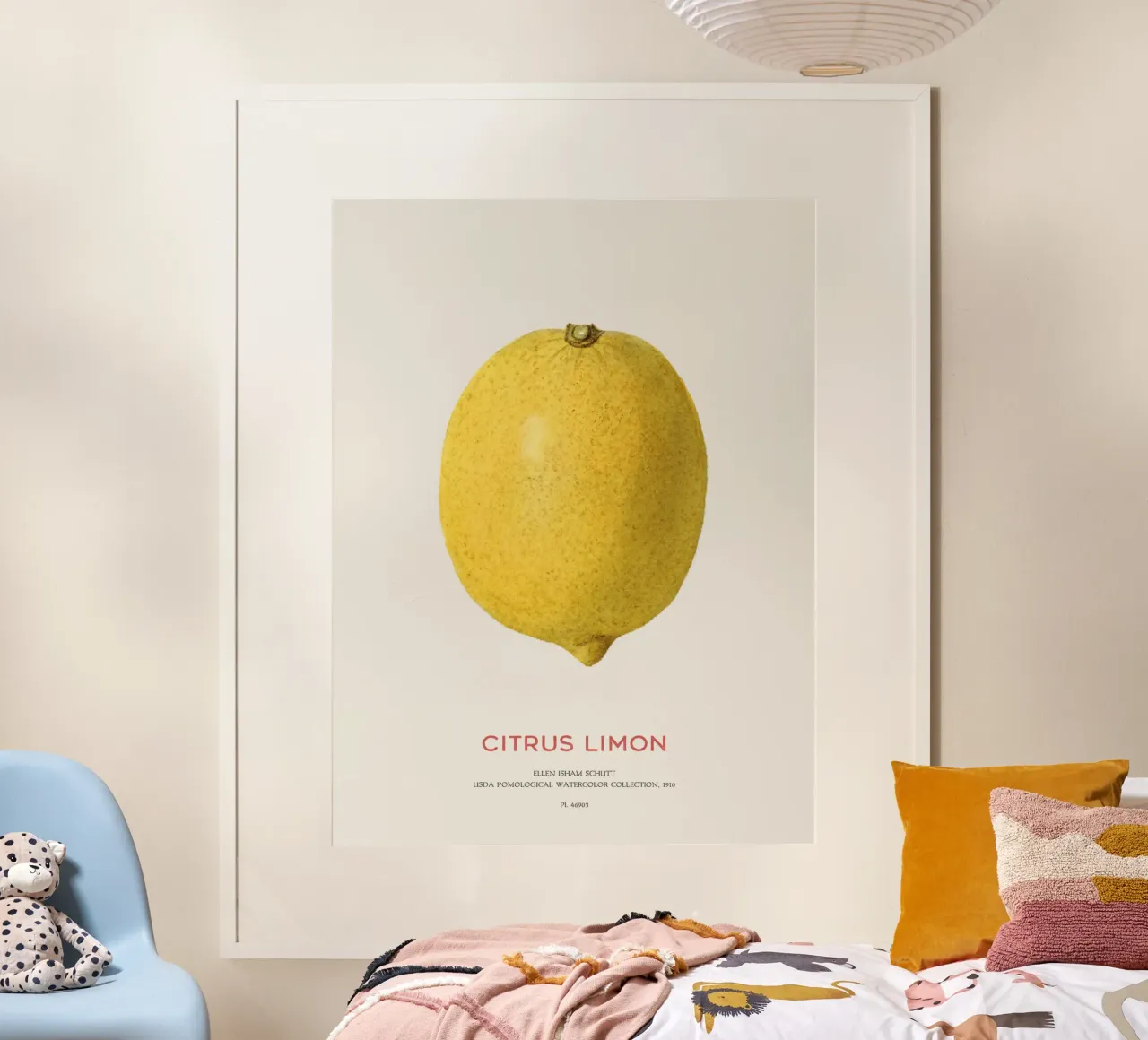Citrus limon oder Zitronenfrucht Hahnemühle von Vintagrafica