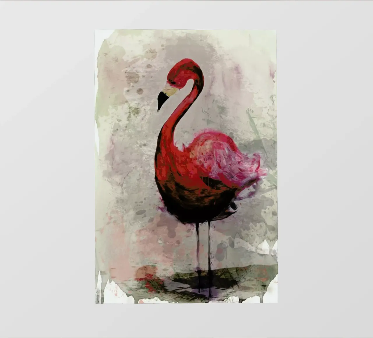 Flamingo pellicola backlit da Sabrina Ziegenhorn