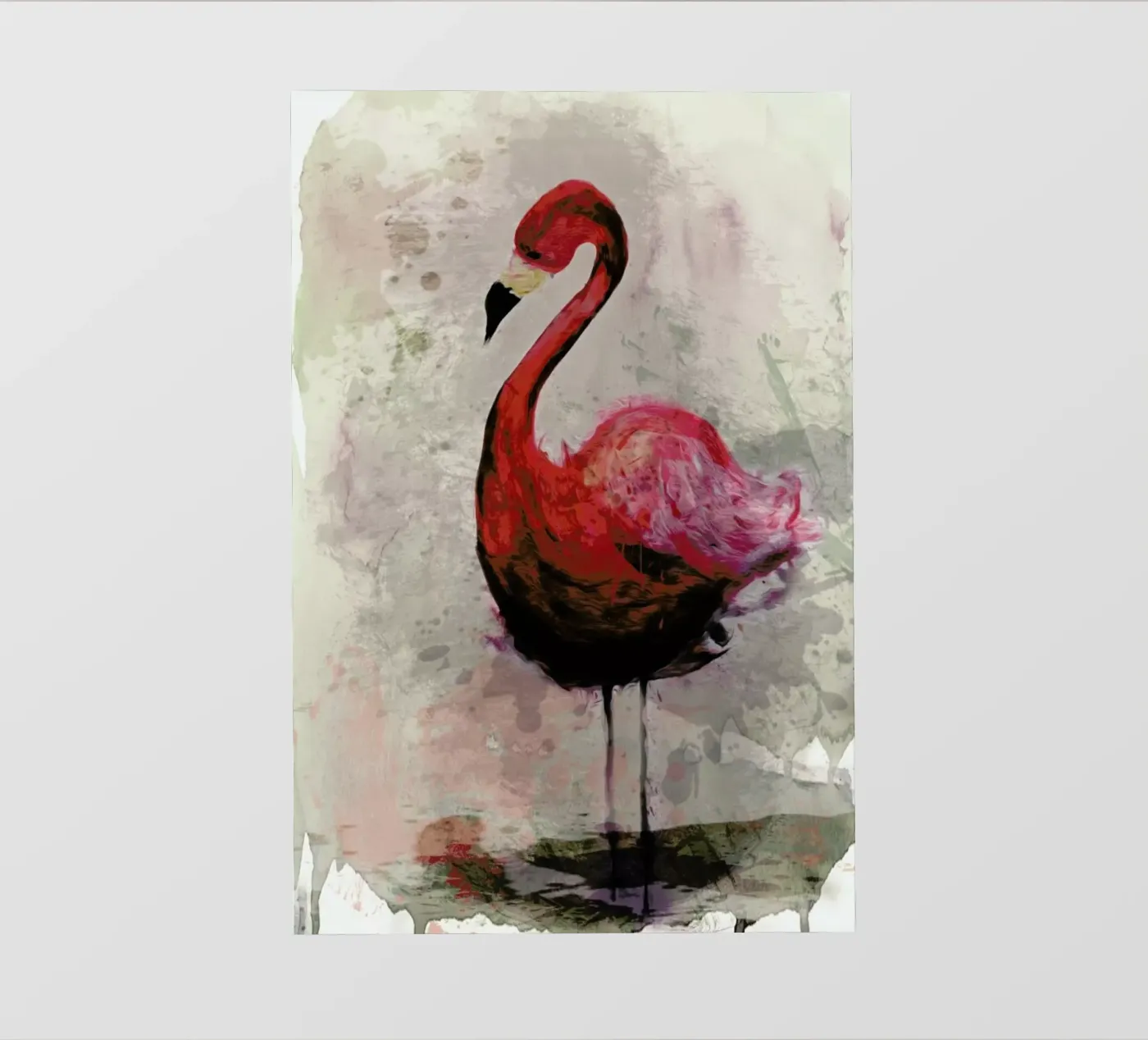 Flamingo pellicola backlit da Sabrina Ziegenhorn