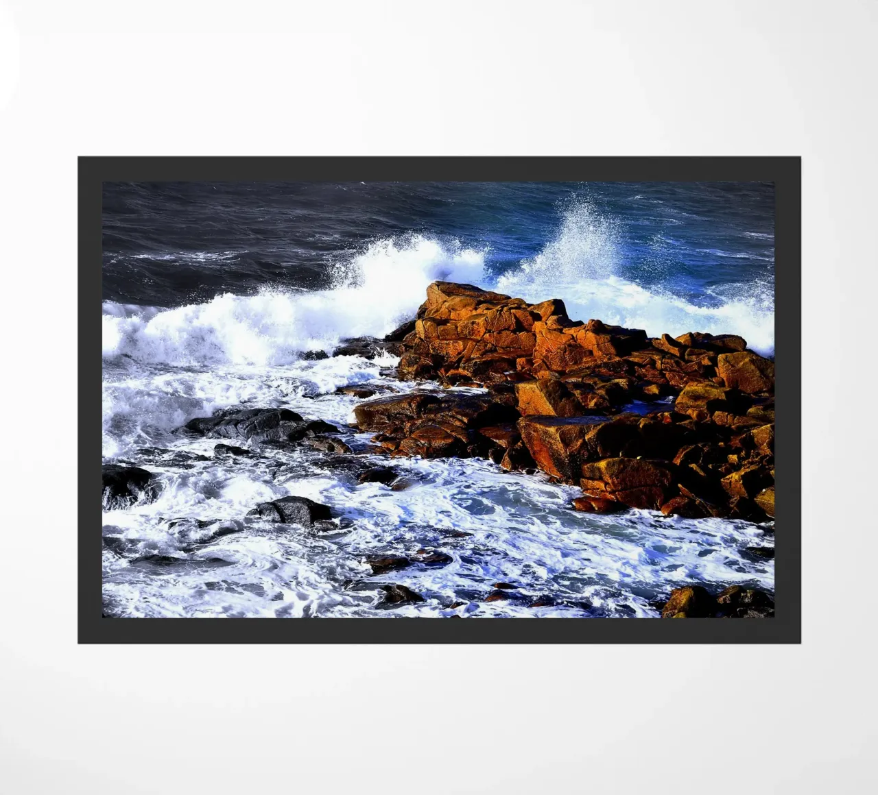 FAA184 zerbino da Thierry vobmann photography