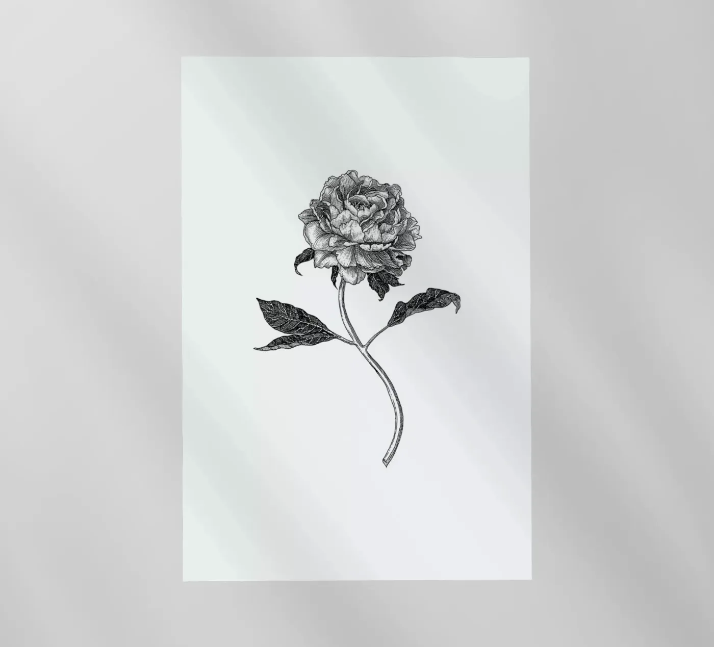 Peony pellicola backlit da Pen & Ink