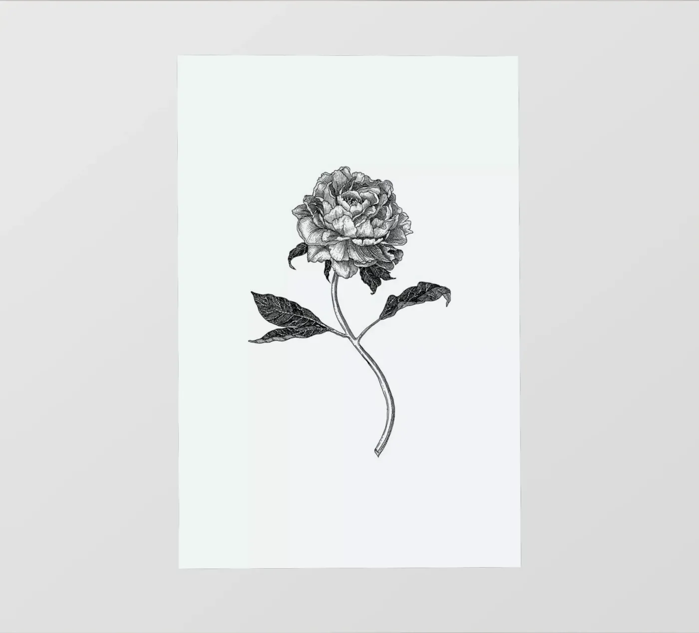 Peony pellicola backlit da Pen & Ink