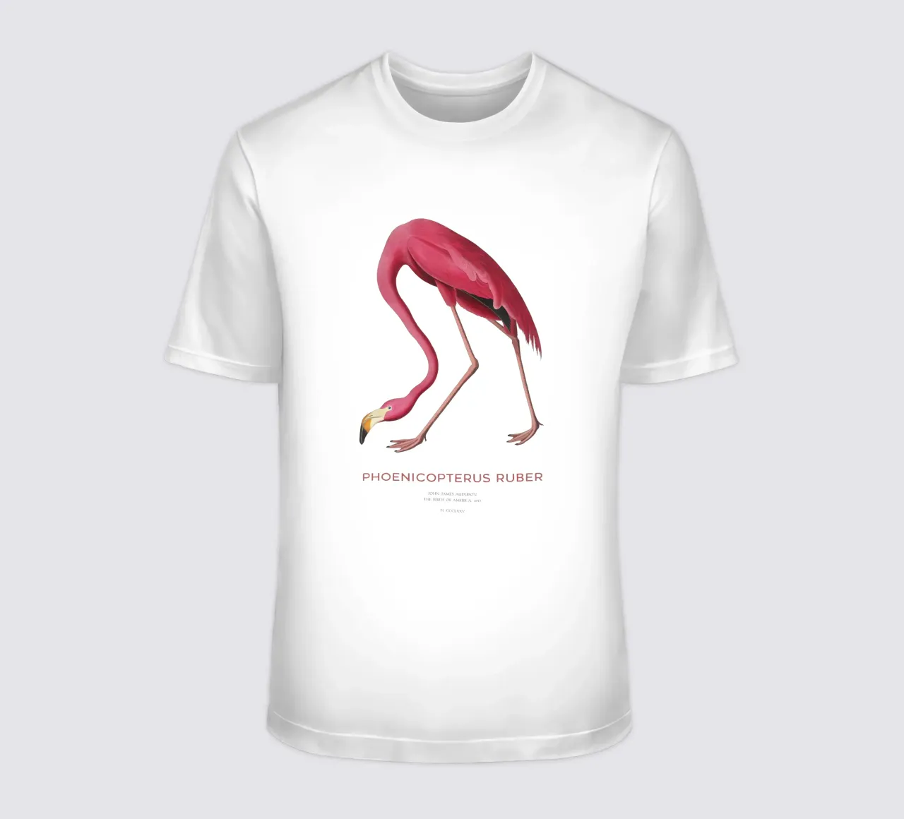 Amerikanischer Flamingo oder Phoenicopterus ruber T-Shirt von Vintagrafica