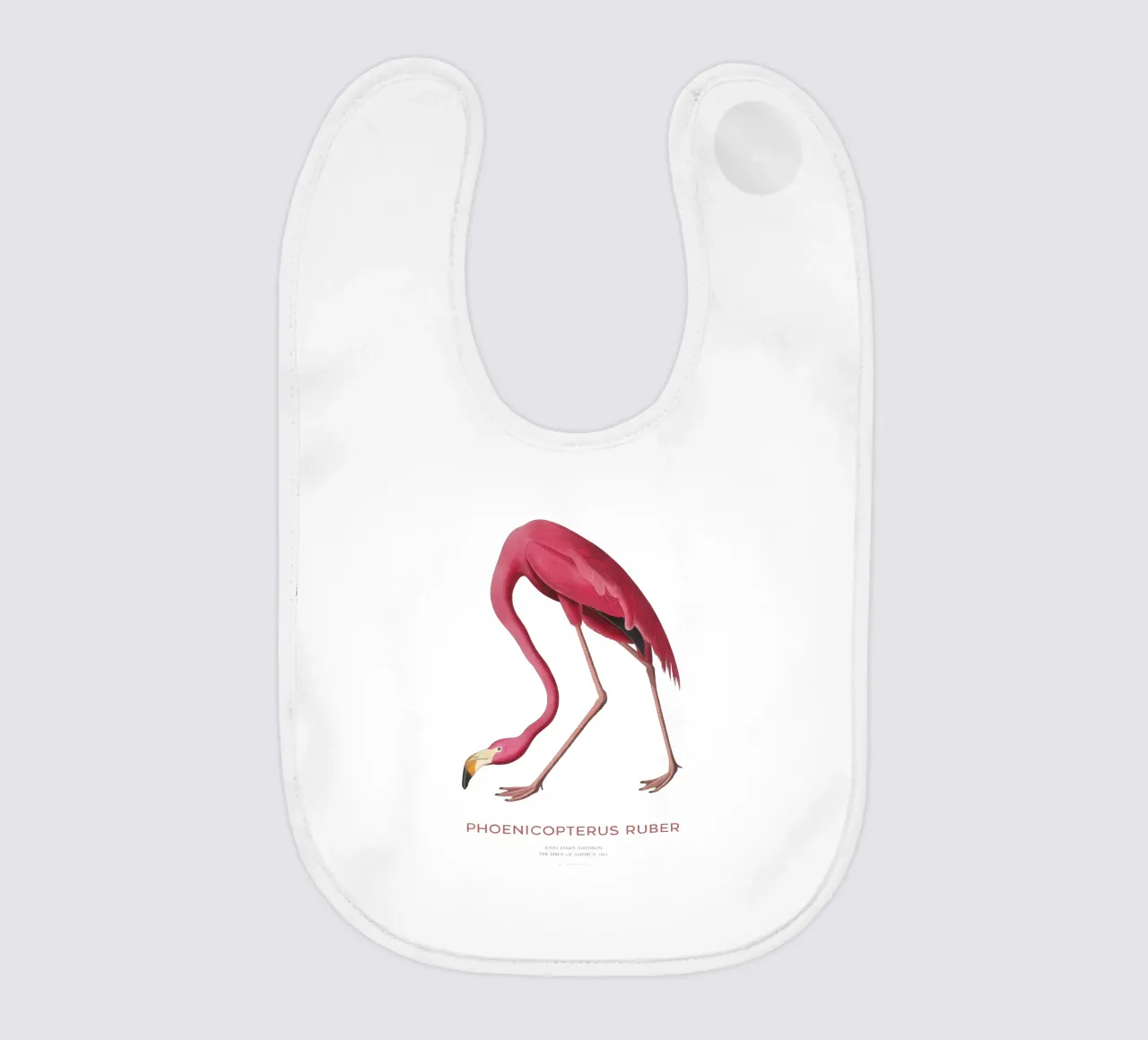 Amerikanischer Flamingo oder Phoenicopterus ruber Babylätzchen von Vintagrafica