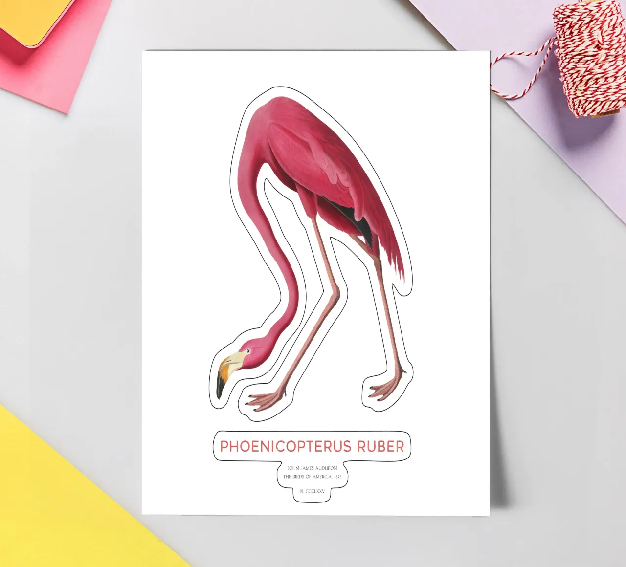 Amerikanischer Flamingo oder Phoenicopterus ruber Stickerbogen von Vintagrafica