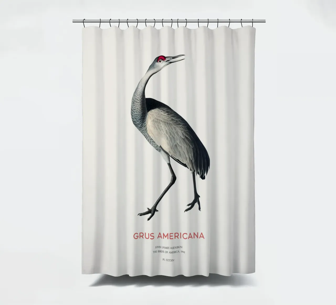 Schreikranich oder Grus americana Duschvorhang von Vintagrafica