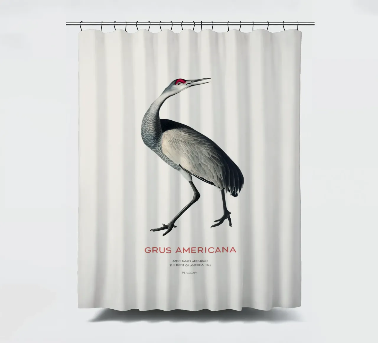 Schreikranich oder Grus americana Duschvorhang von Vintagrafica