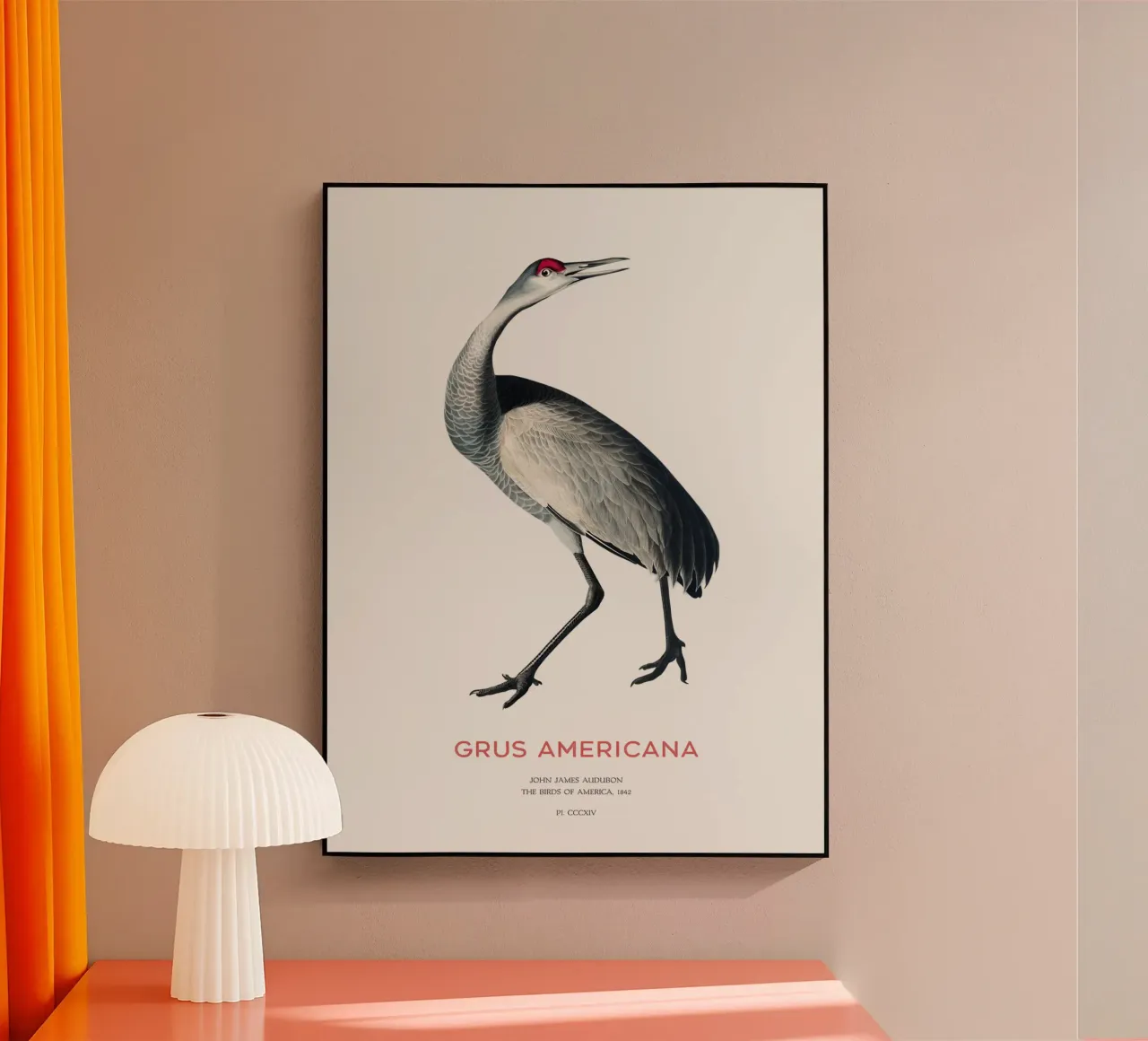 Whooping crane or Grus americana acrylic glass by Vintagrafica