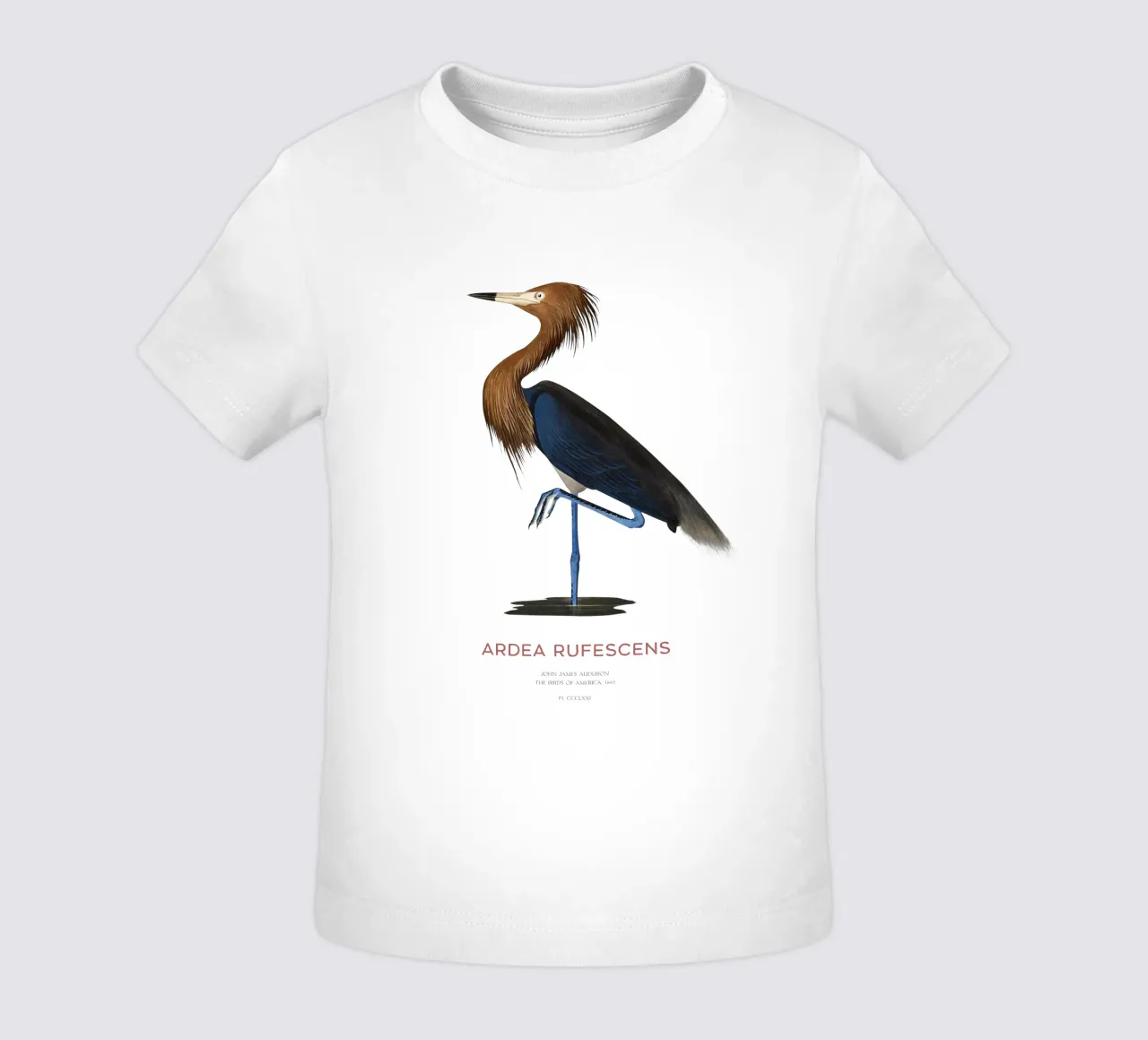 Airone rosso o Ardea rufescens maglietta neonato da Vintagrafica