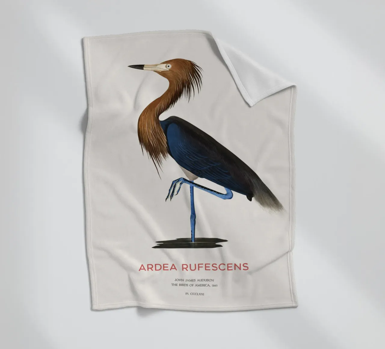 Airone rosso o Ardea rufescens coperta in pile da Vintagrafica