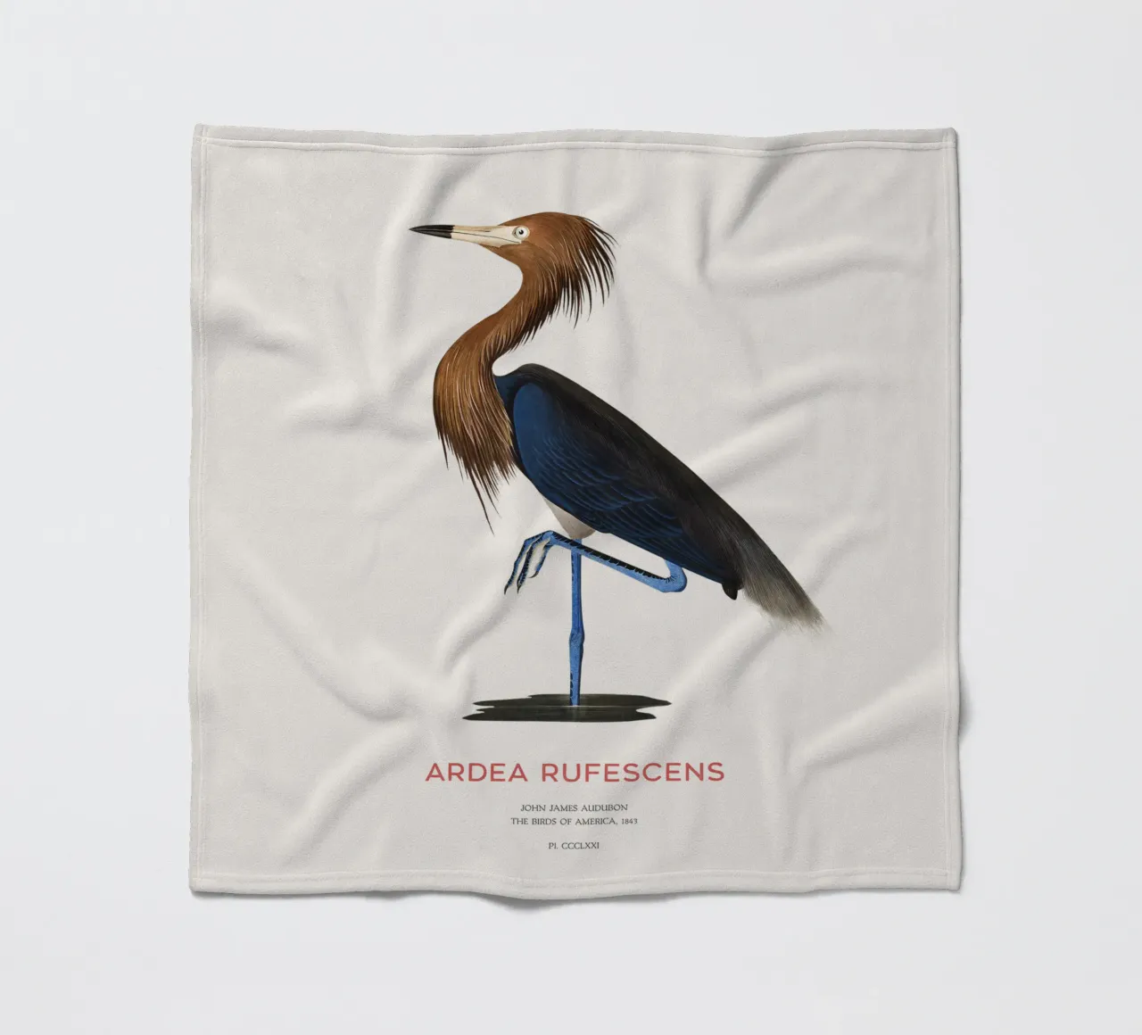 Airone rosso o Ardea rufescens coperta in pile da Vintagrafica