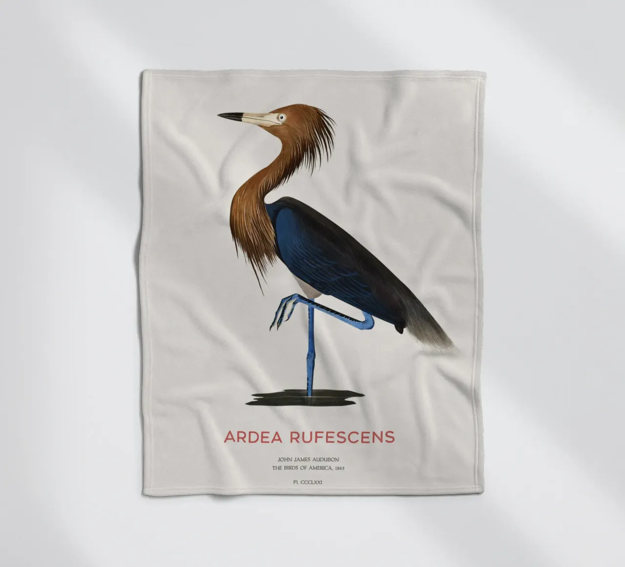 Airone rosso o Ardea rufescens coperta in pile da Vintagrafica