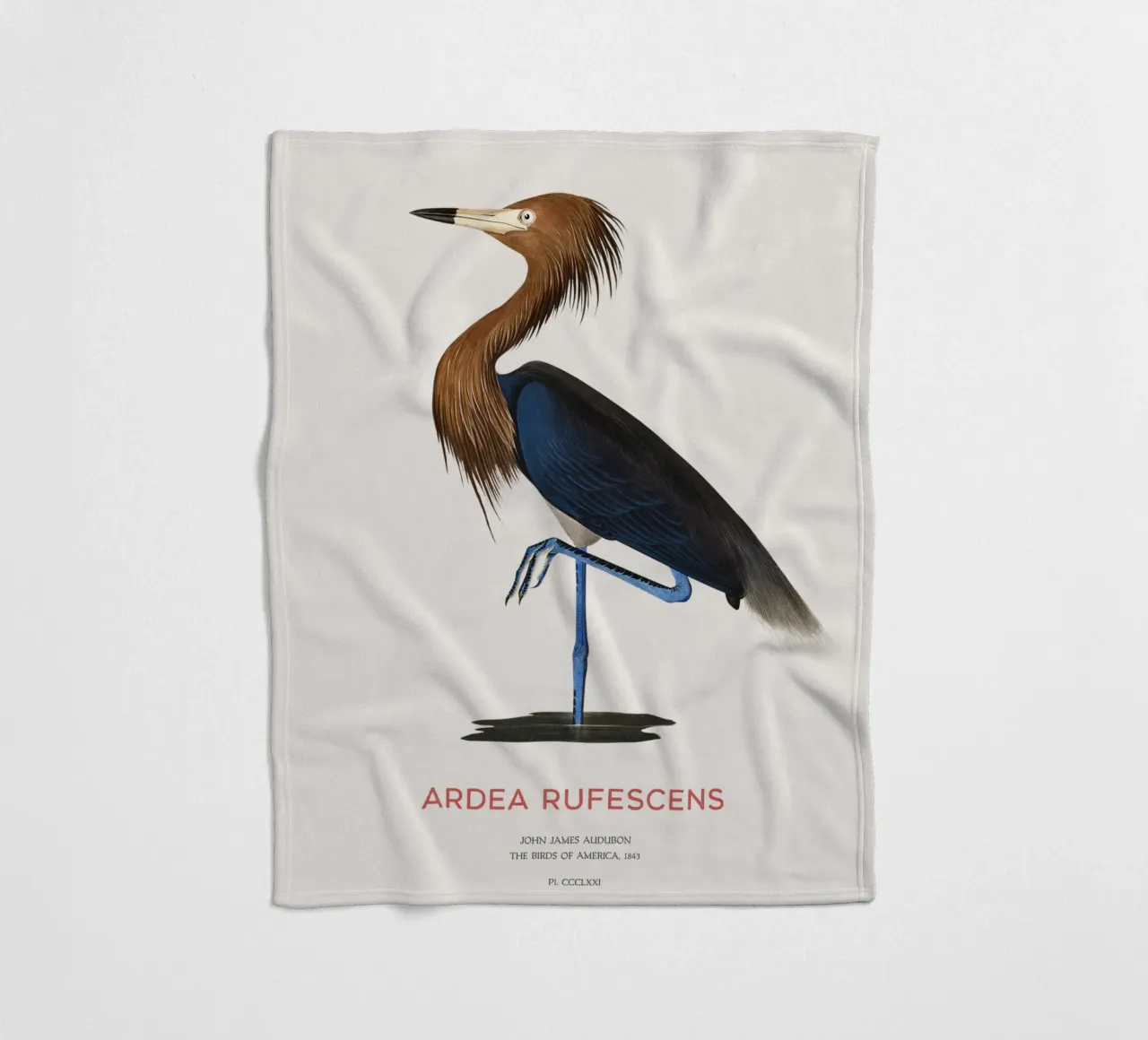 Airone rosso o Ardea rufescens coperta in pile da Vintagrafica