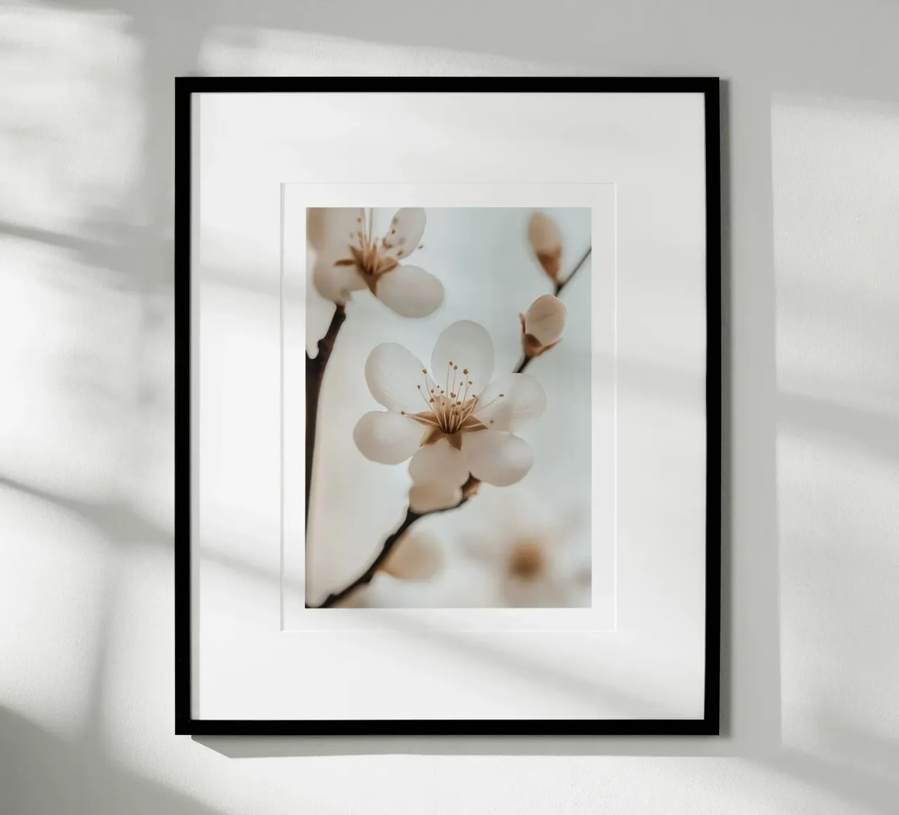 Delicate cherry blossom poster with aluminum frame by Flora & Horizon