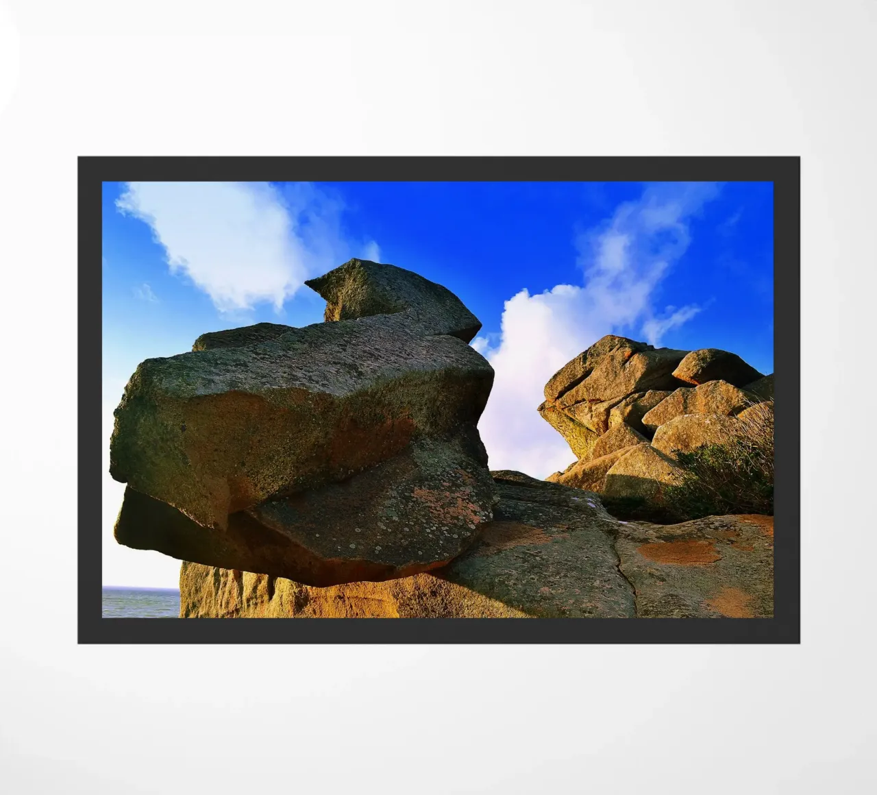 FAA185 zerbino da Thierry vobmann photography