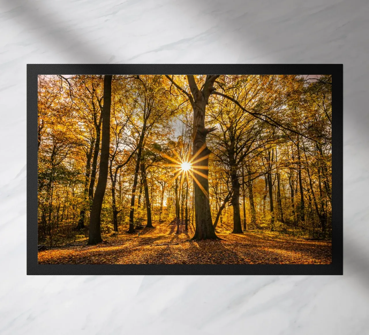 Stella del sole in una piccola foresta zerbino da Marcus Beckert | Fotografie