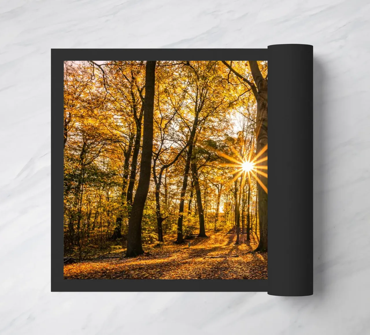 Stella del sole in una piccola foresta zerbino da Marcus Beckert | Fotografie