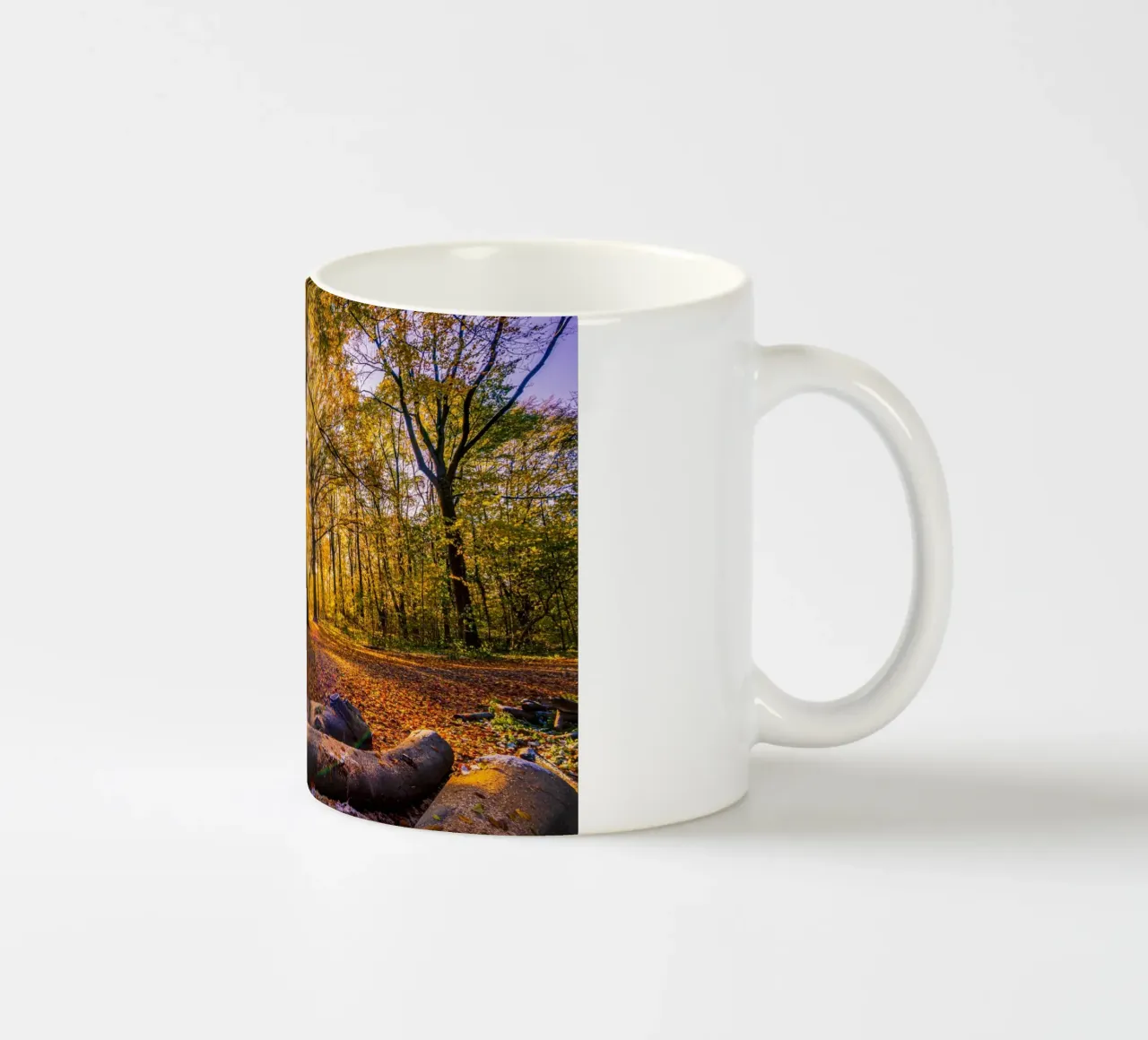 Stella del sole nella foresta in autunno tazza in ceramica da Marcus Beckert | Fotografie