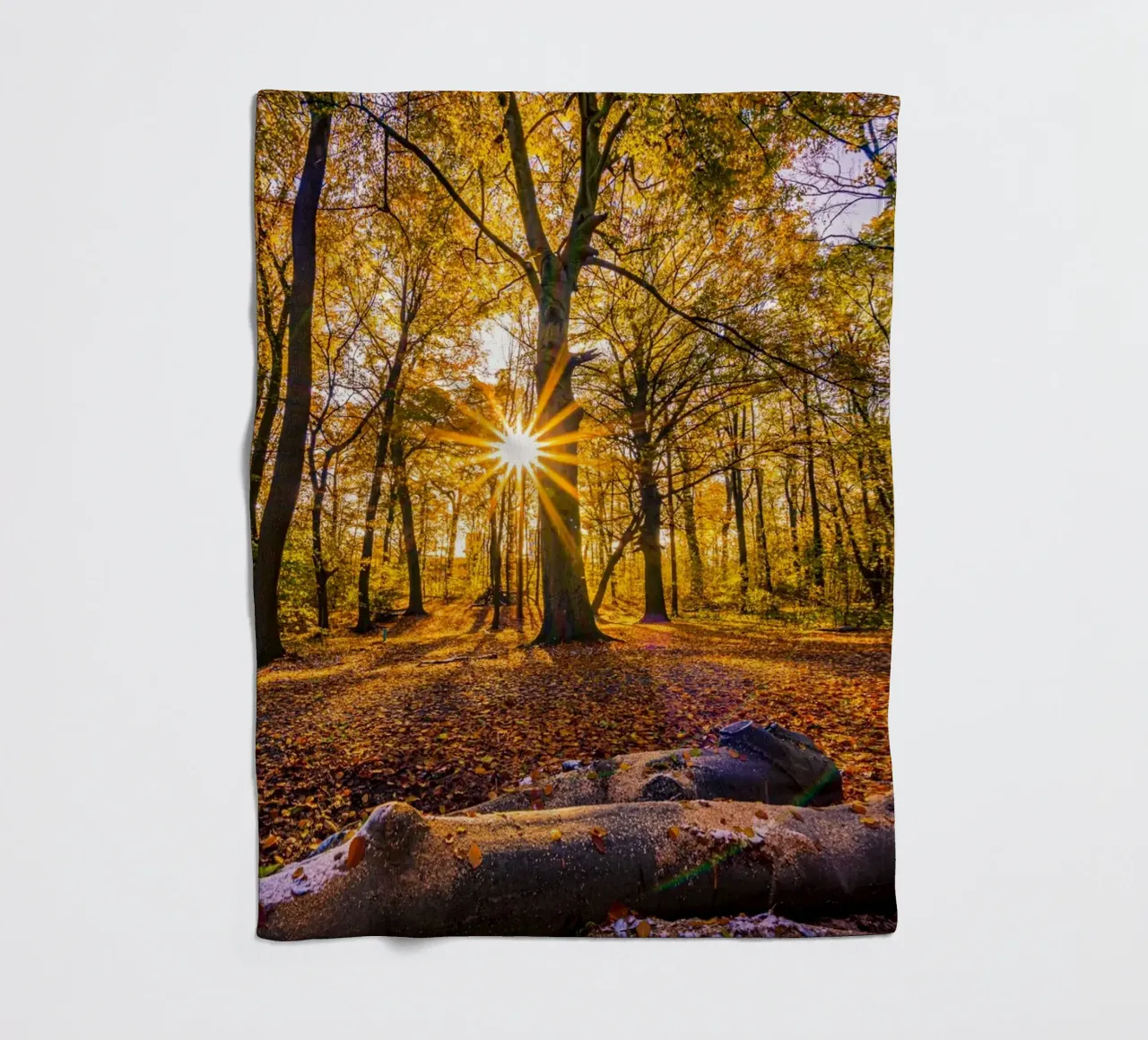 Stella del sole nella foresta in autunno coperta in pile da Marcus Beckert | Fotografie
